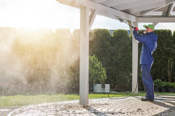 Best Animal Enclosure Cleaning  in Napili Honokowai, HI